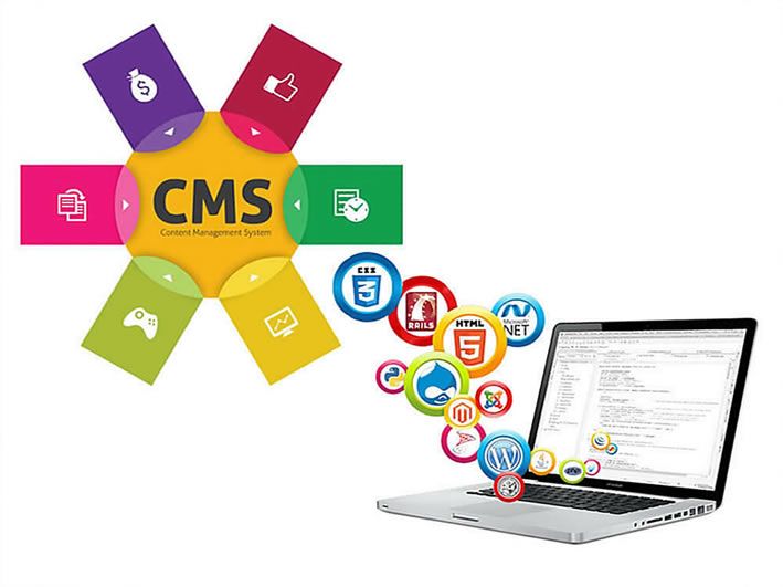 Mersin CMS Web Tasarım