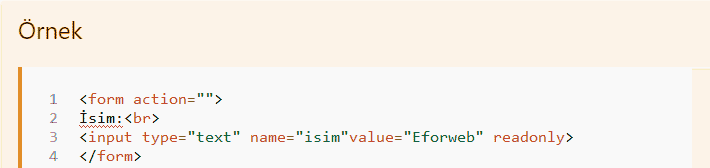 html form input tag